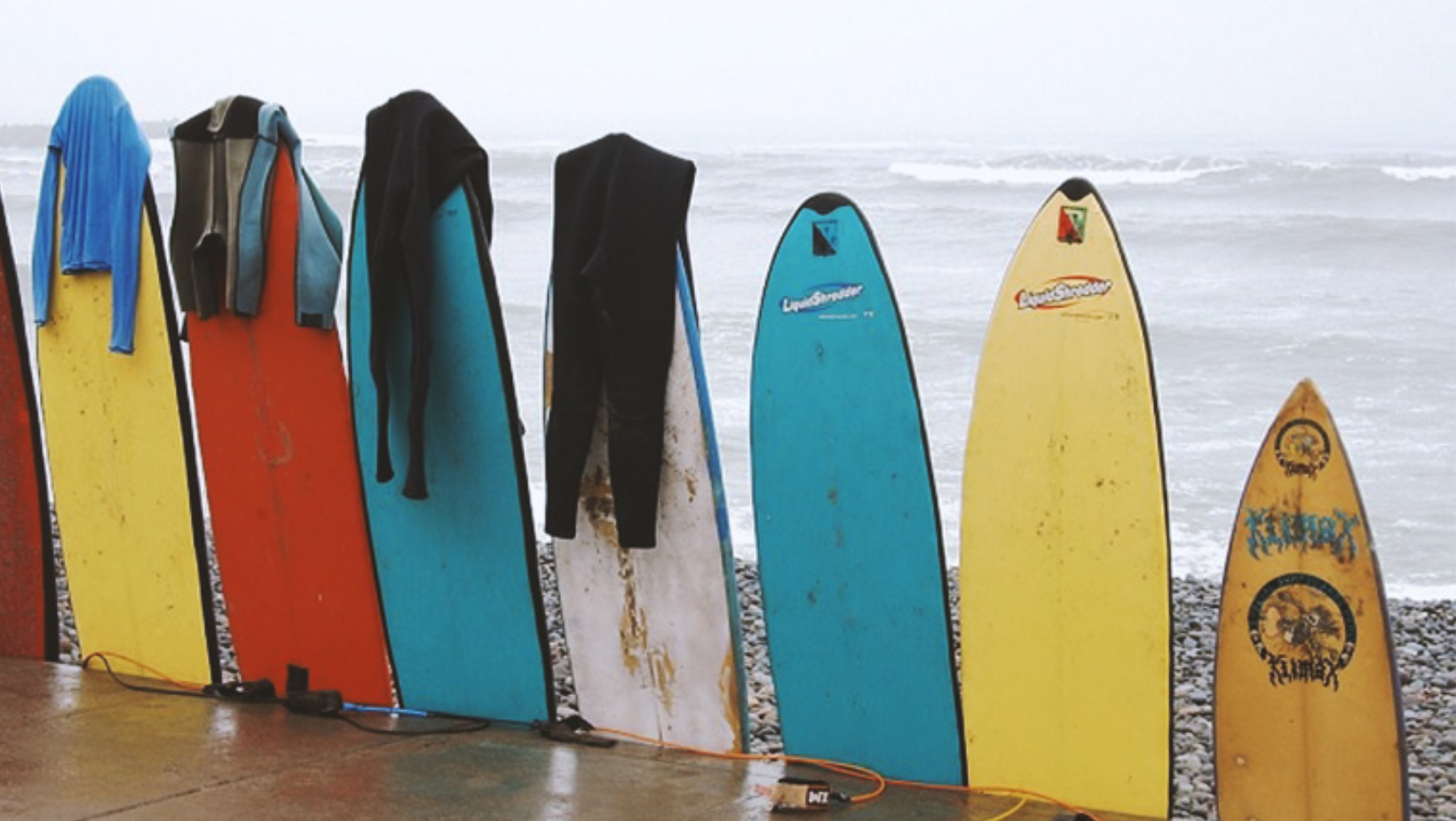 TAVOLE DA SURF