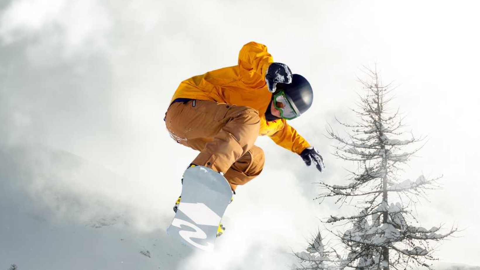 TAVOLE SNOWBOARD