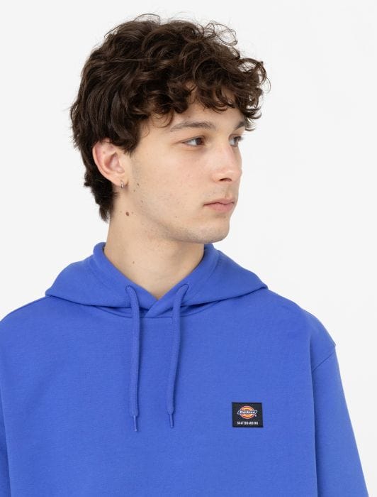 Dickies Mount Vista Hoodie Satin Sky