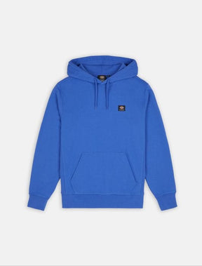 Dickies Mount Vista Hoodie Satin Sky