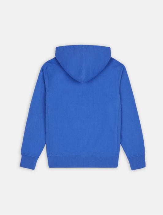 Dickies Mount Vista Hoodie Satin Sky