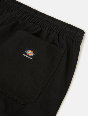 DICKIES - Skateboarding Mount Vista Pant Uomo - Black